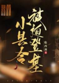 小县令被迫登记