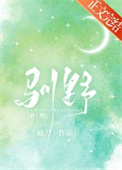 驯野马视频太牛了
