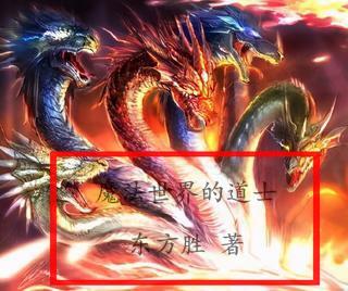 道士在魔法世界的小说