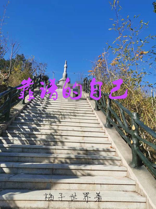 靠谱的自动离合器