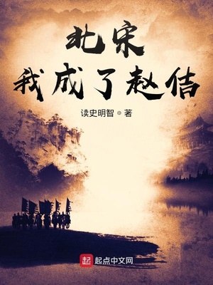 北宋:我成了赵佶笔趣趣