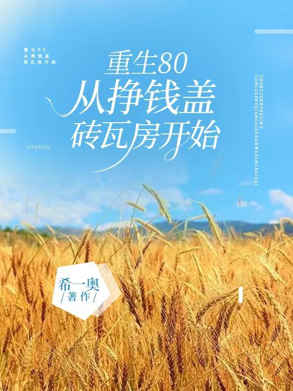 重生80年代赚钱养家