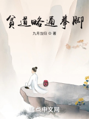 贫道略通拳脚txt