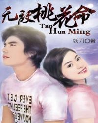 无敌桃花神医小说