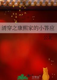 清穿之康熙家小宠妃小说